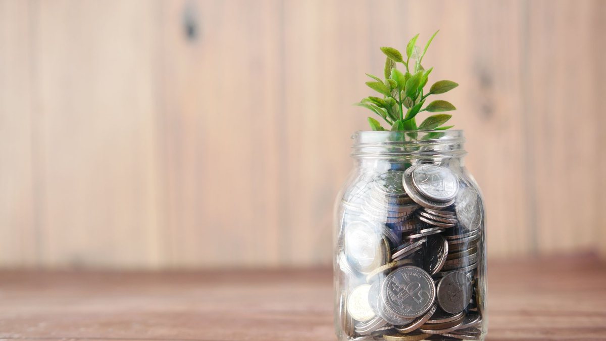Glass jar filled with coins and a small green plant growing from the top