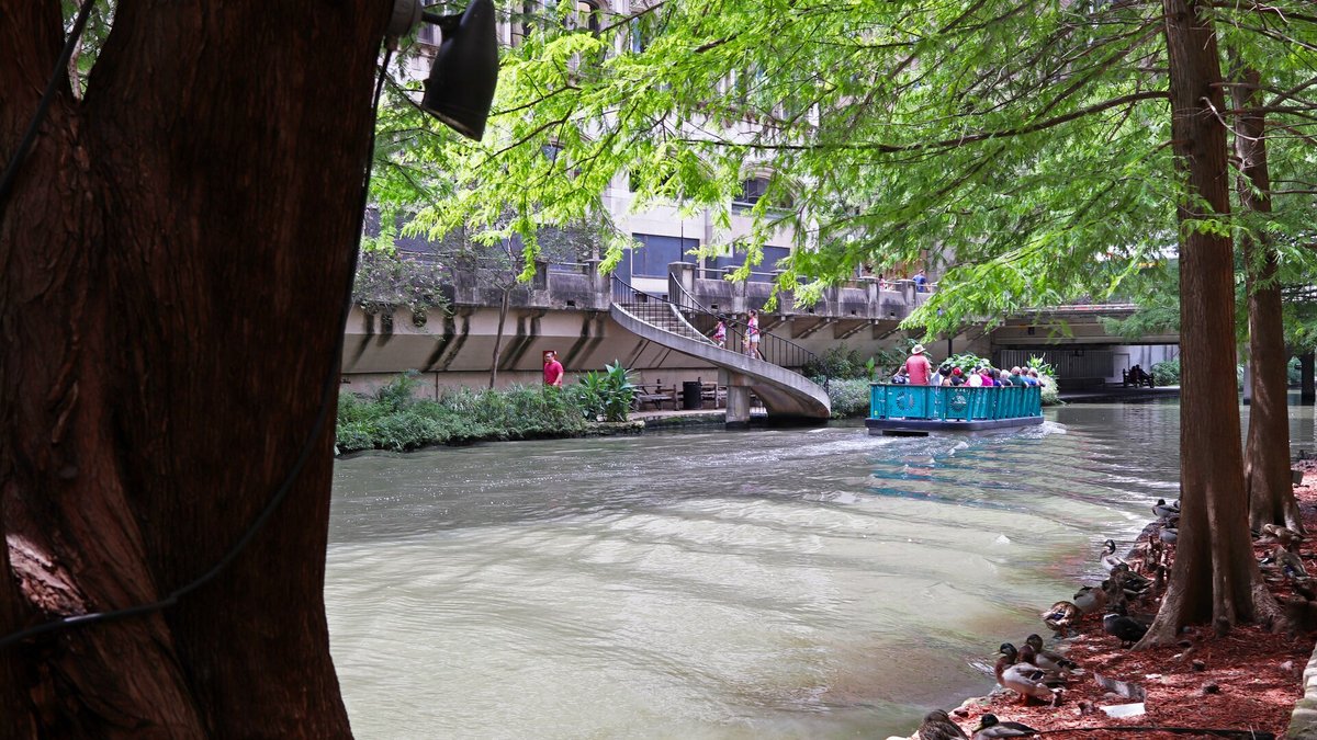 Tour boat on the San Antonio River Walk under green cypress trees on a sunny day