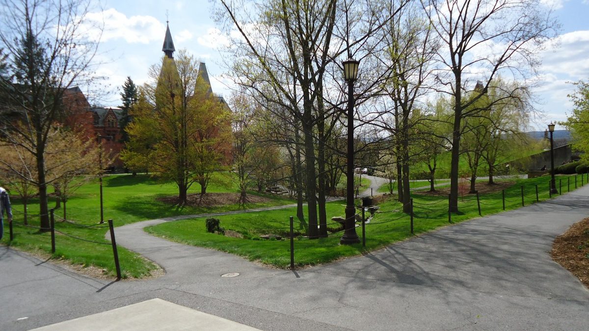 Tree-lined walkways on the Cornell University campus in spring