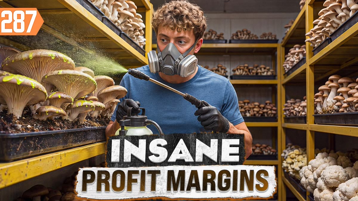 YouTube thumbnail of mushroom grow bags on shelves in a small farm room with large title lettering