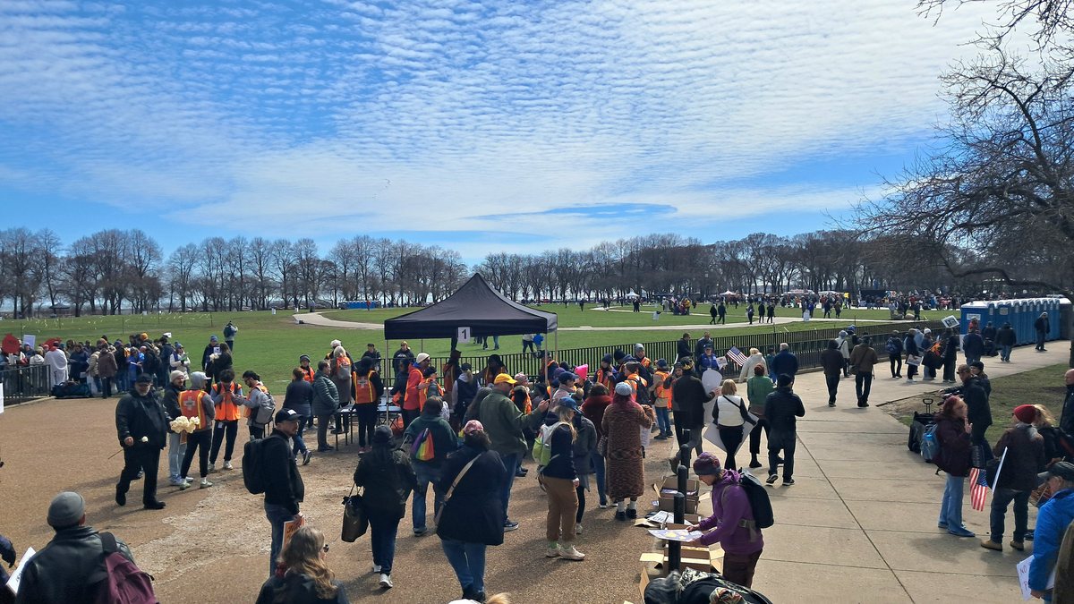 Crowds gather around a black canopy tent and volunteers in orange vests on a sunny park lawn during a No Kings rally in Chicago