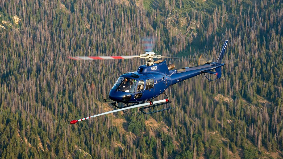 A blue Airbus H125 helicopter flying in front of a forested mountainside