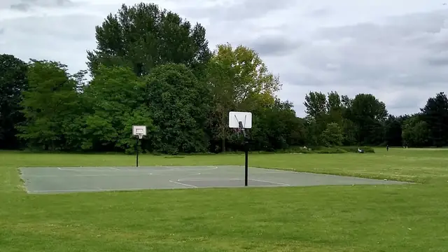 An empty outdoor green basketball court with two hoops surrounded by grass and trees under a cloudy sky