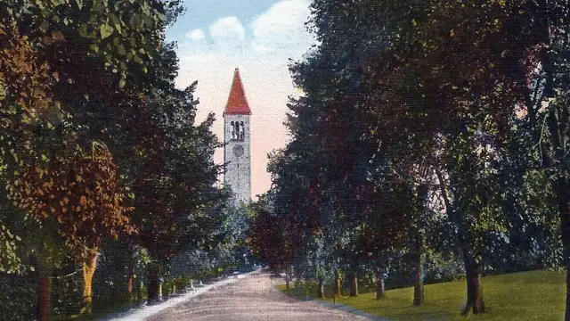 Tree-lined avenue on the Cornell University campus leading toward the clock tower
