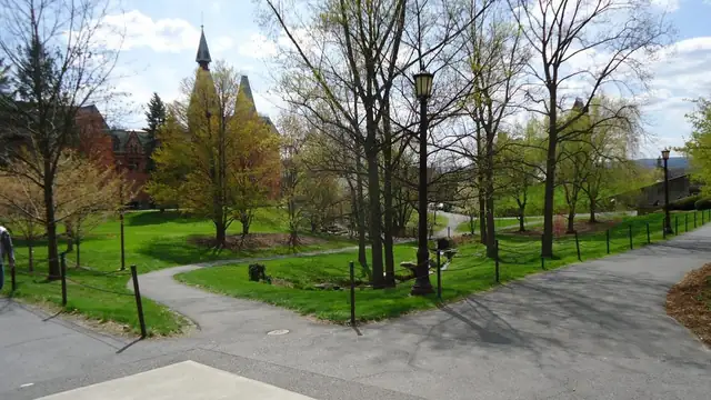 Tree-lined walkways on the Cornell University campus in spring