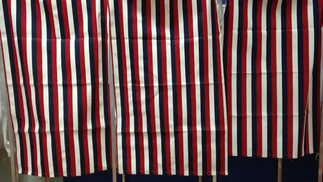 Red, white and blue curtained voting booths at a polling place