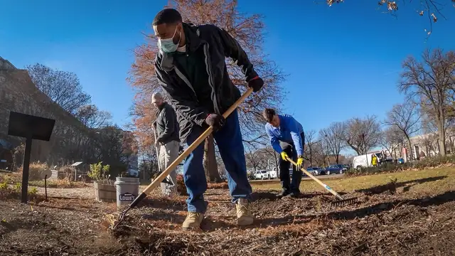 Gardeners work the soil with rakes in raised beds at an urban farm on a sunny winter day