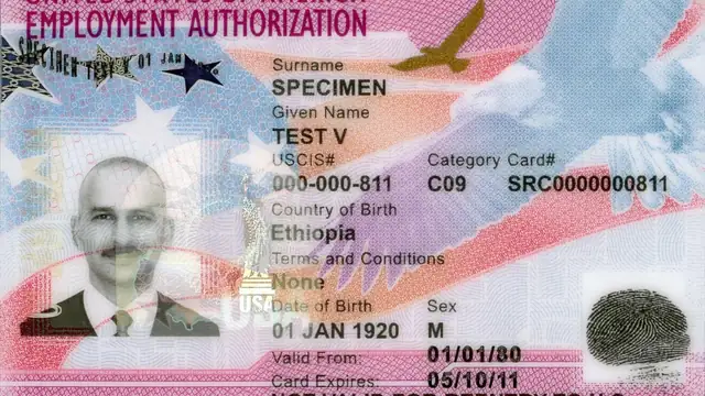 A specimen U.S. employment authorization card shows a sample photo and fields for name and dates of validity