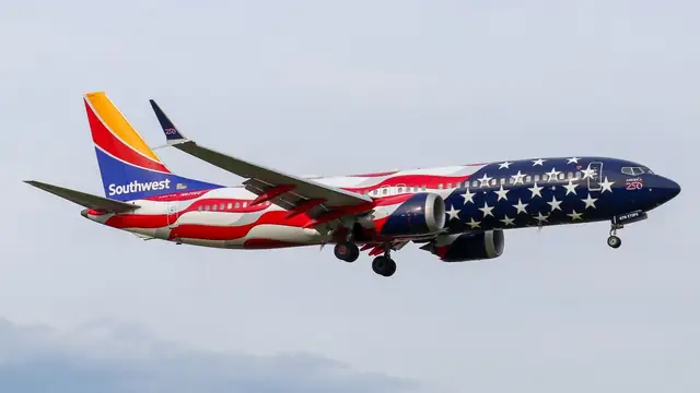 A Southwest Airlines Boeing 737 MAX 8 in a stars and stripes paint scheme flies with its landing gear down against a pale gray sky