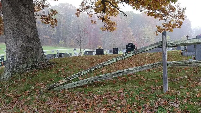 Weathered grave markers beneath autumn trees in a quiet cemetery