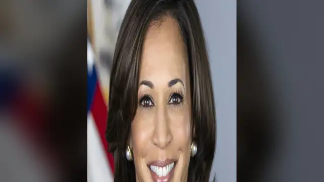 Kamala Harris smiling in her official vice presidential portrait with a U.S. flag behind her