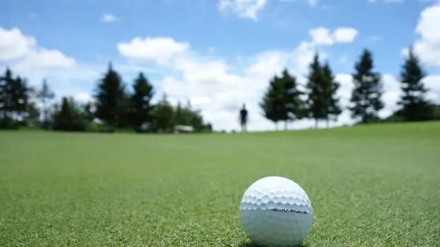 A white golf ball resting on a green with tall trees in the distance under a blue sky
