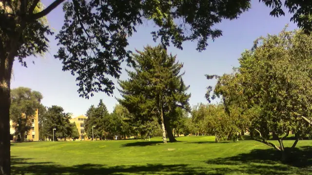 Green lawn and tall trees on the Idaho State University campus in Pocatello on a sunny day