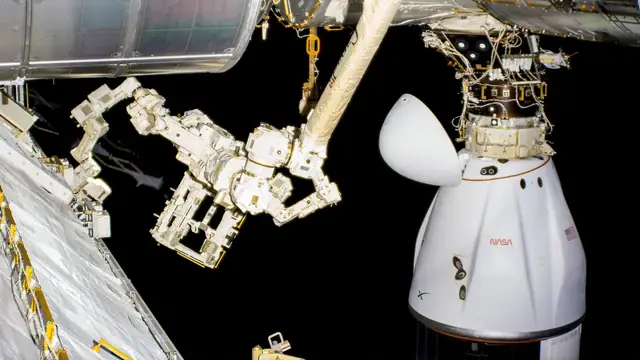 A SpaceX Dragon cargo craft sits docked beside the robotic arm of the International Space Station against the blackness of space