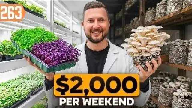 YouTube thumbnail of leafy greens in a home hydroponic setup with large title lettering