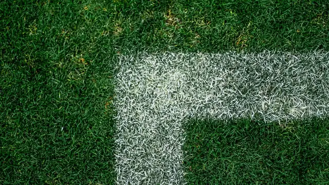 A thick white painted corner line on green grass turf of a sports field