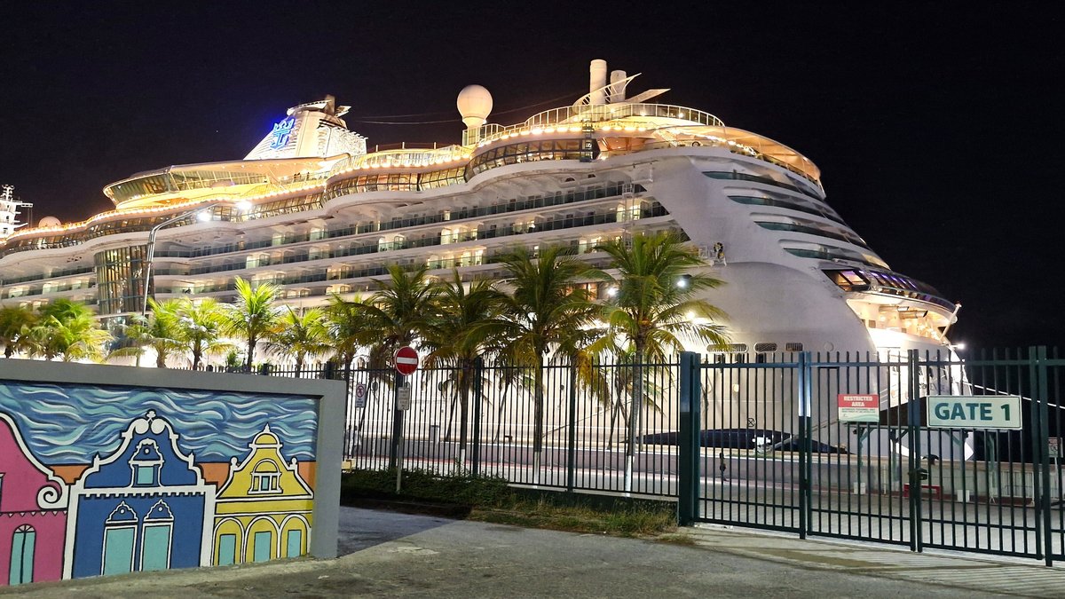 A large cruise ship lit up at night beside a port gate (stand-in photo, not The Odyssey)