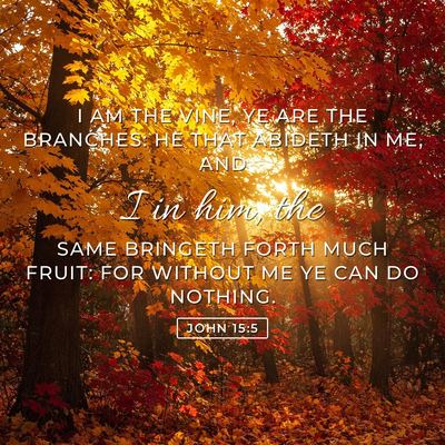 John 15:5 Bible verse image